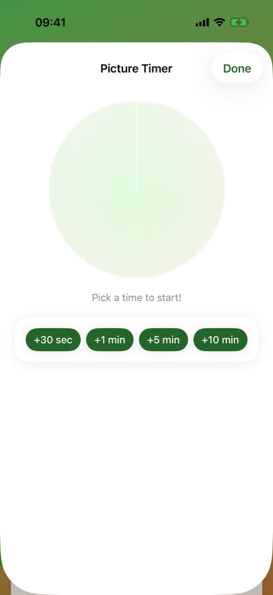 Picture Timer at the start: the picture is still hidden — 'Pick a time to start!' with +30 sec to +10 min buttons.